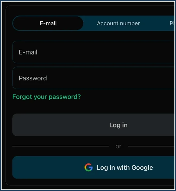 Linke Seite der Login-Maske mit Reitern, Passwortfeld, Log-in-Button und Google-Option